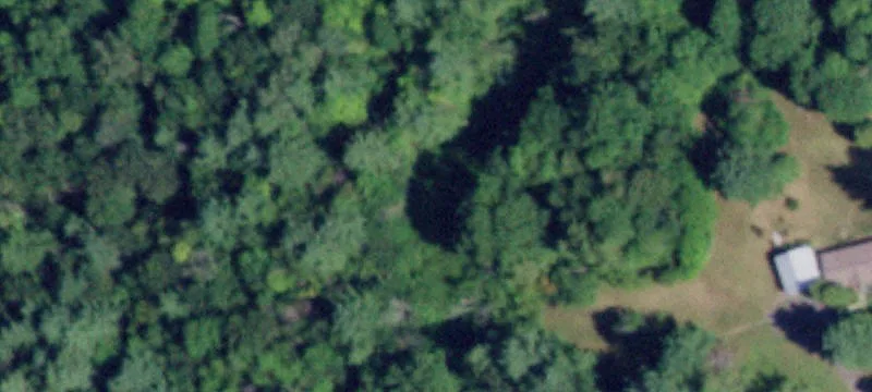 116 Country Ln