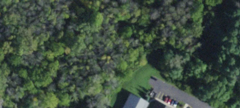 3506 Thomas Dr