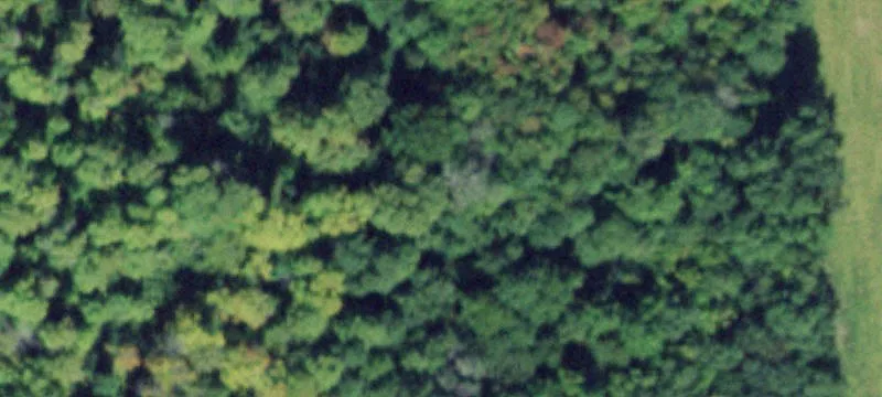 1025-1019 Rt 96