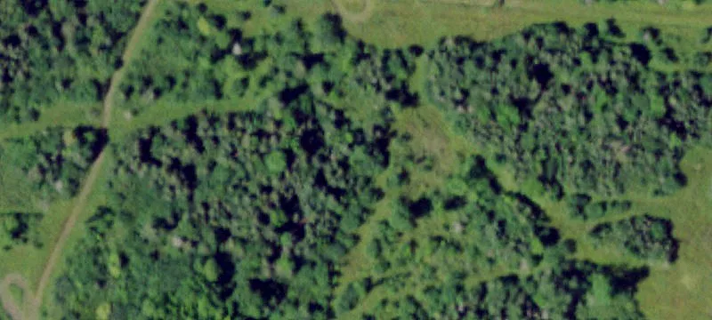 26334 County Rte 16