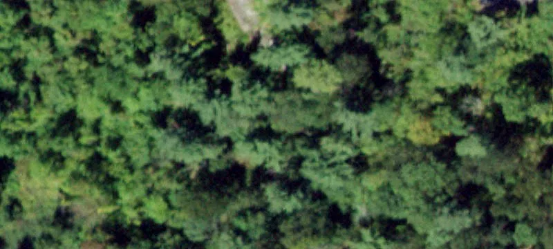 133 Old Frg Rd