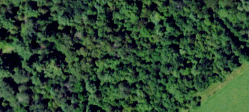 95 Mt Alone Rd