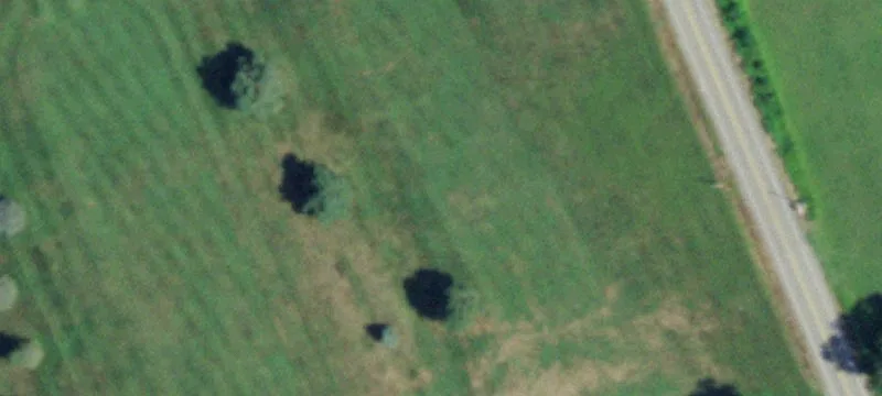 55 Frisbee Rd