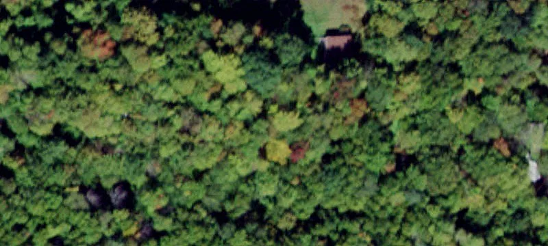 75 Frst Rd