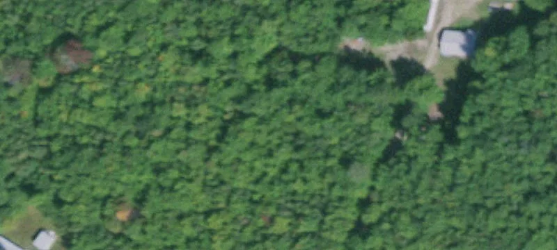 600 Clinton Mls Rd