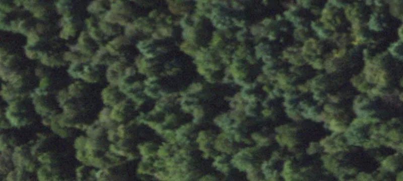 2047 County Rte 17