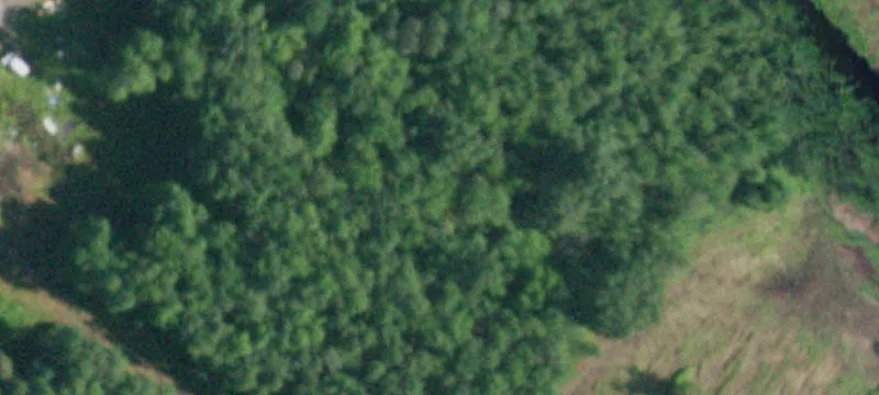 51 Rifle Range Rd