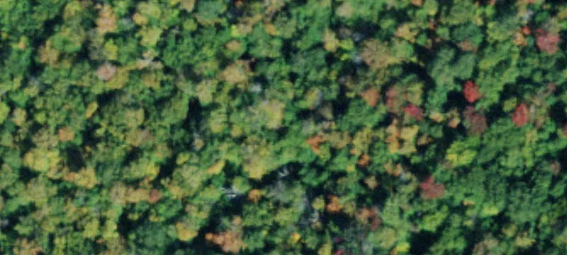 61 Limekiln Lk Rd