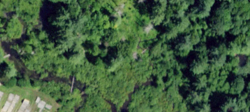 10247 State Rte 149