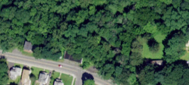 61 Scott Ave