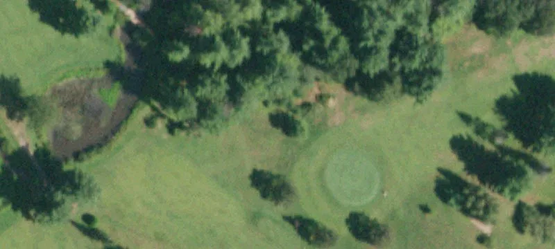 1503 State Hwy 29
