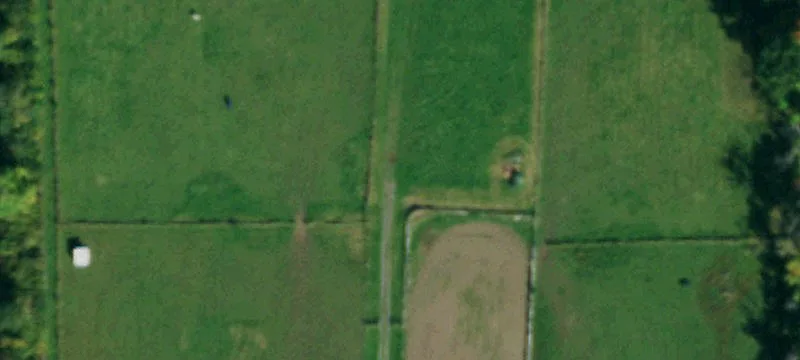 2141 Main Rd
