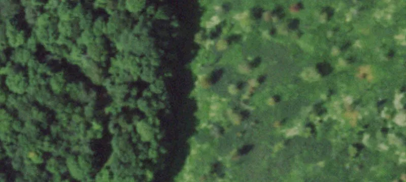 9035 State Rte 178
