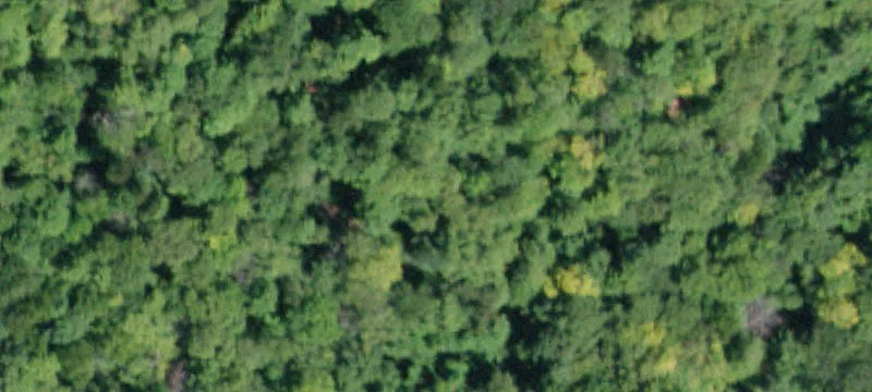 172 Pantherkill Rd
