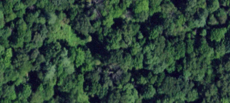 1184 County Rte 11