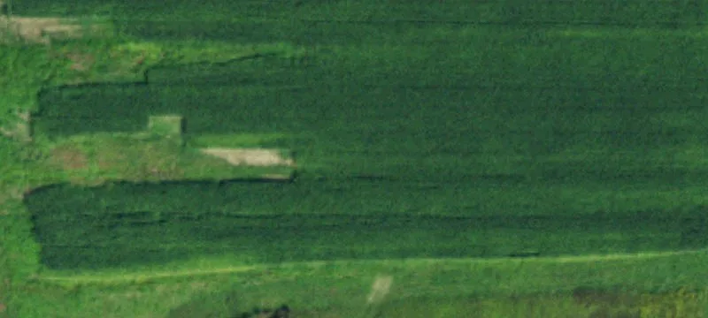 11584 Gowanda State Rd