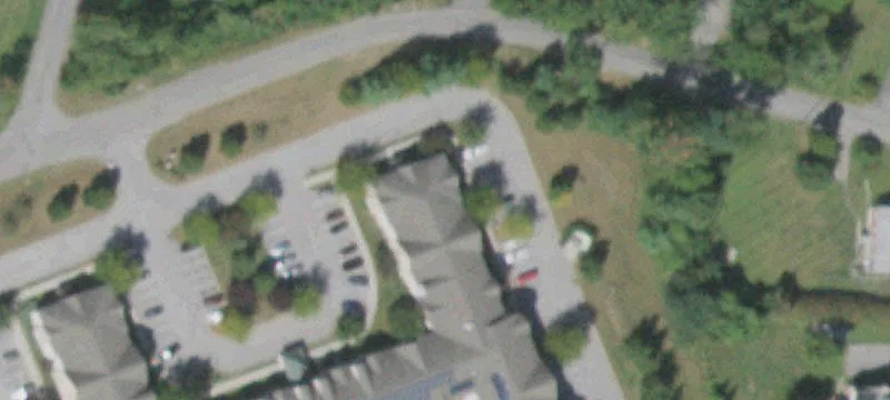 Dogwood Ln