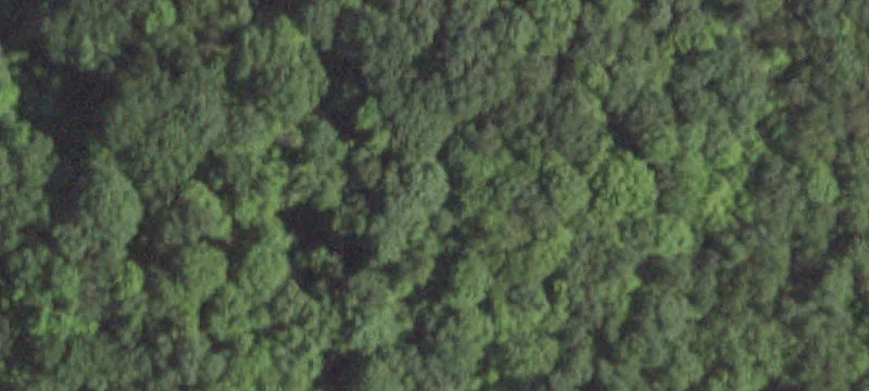 20 Hardscrabble Hts