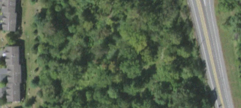 299 Rte 303
