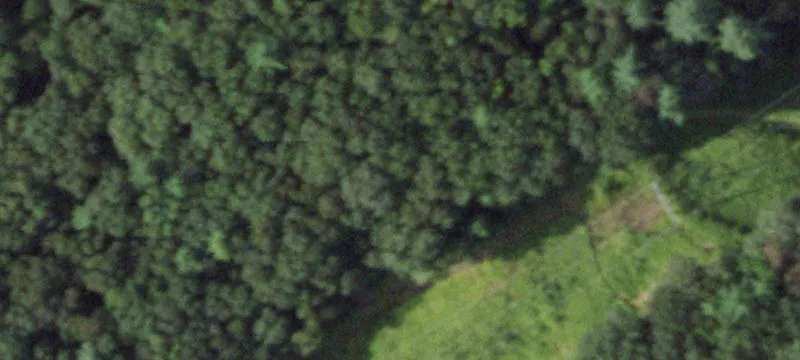 333 Pigeon Hl Rd