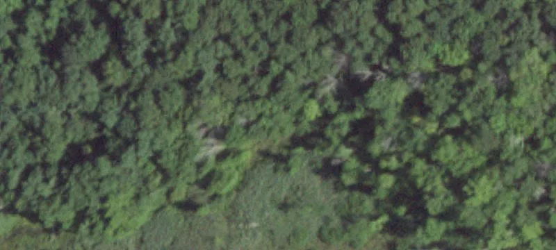 38 Joes Hl Rd