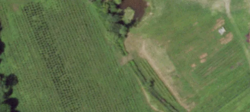 4239 State Rte 69