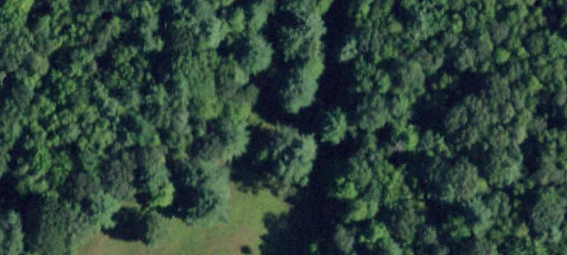 408 Carney Cassidy Rd