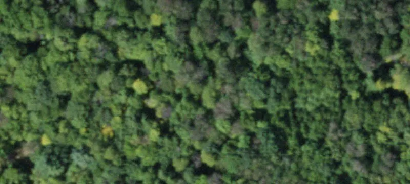 305 Clf Rd
