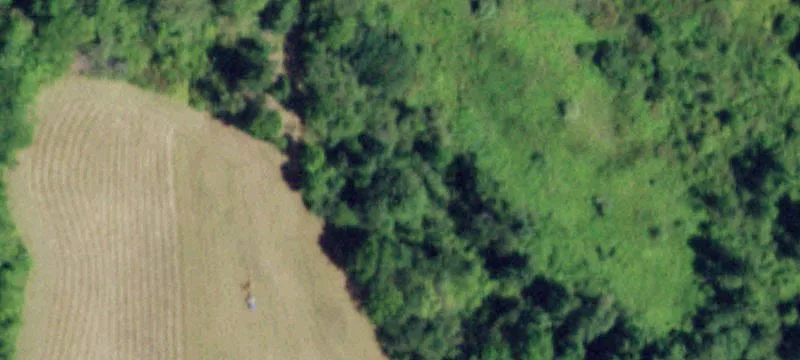 323 Ny Hwy 355