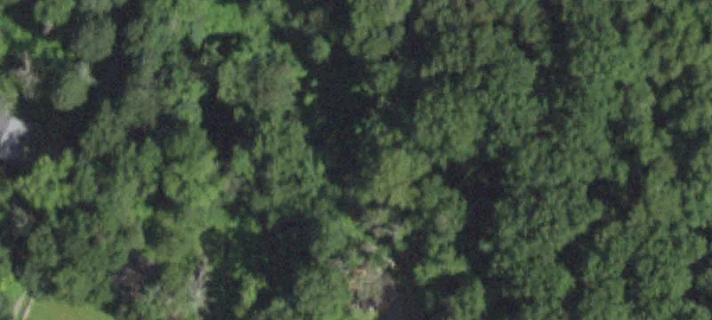 46 Grace Ln