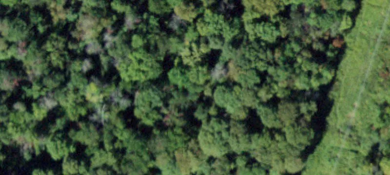 2037 State Rte 32