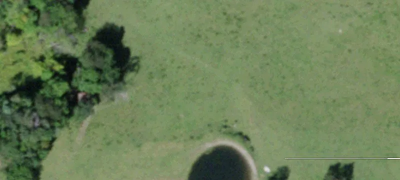 229 State Hwy 206