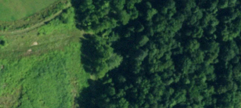 6668 Slayton Settlement Rd