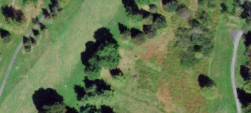 603 County Rte 164