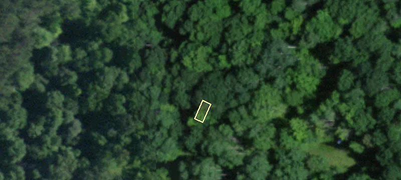 2000 Jones Rd
