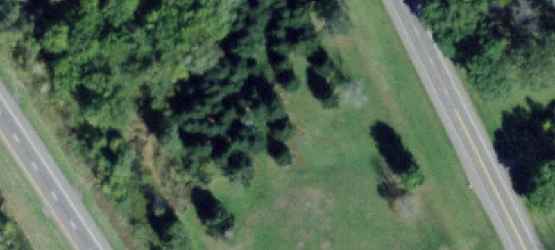 5231 Wolf Run Ext