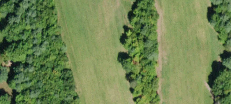 Ashland, NY 12407