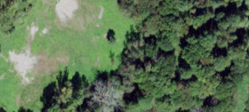 141 Bracken Rd