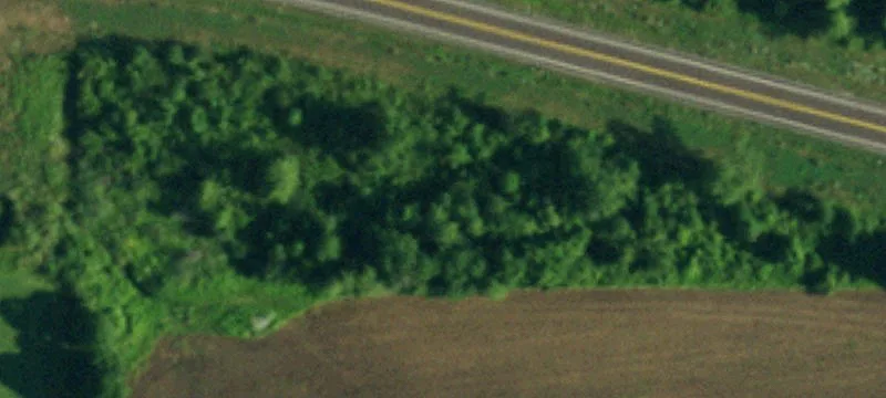 Alleghany Rd
