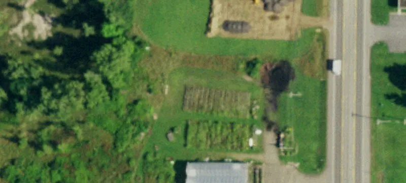 Olean Rd