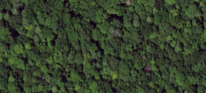 Lacona, NY 13083