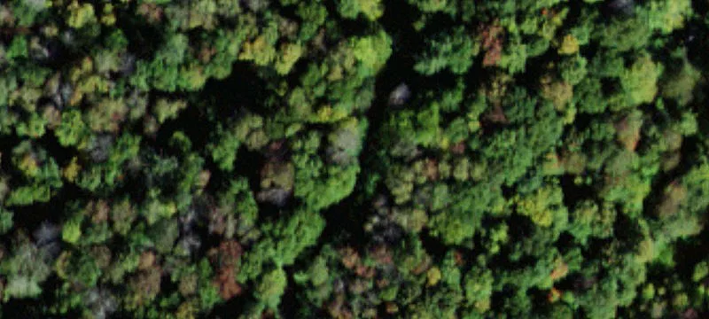 879 Gulf Rd