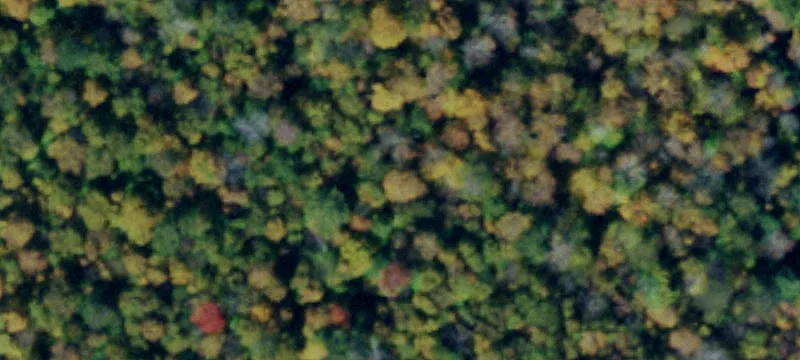 329 Otto Mls Rd