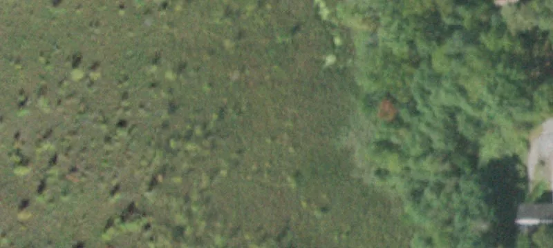 2439 State Rte 32