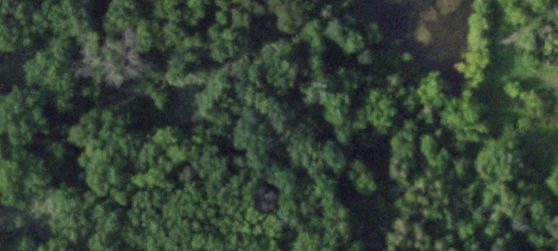 1006 Us Rte 11