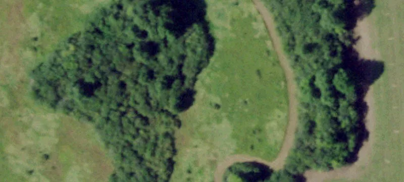 24180 County Rte 16