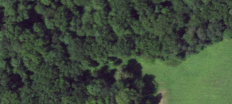 401 Peck Rd