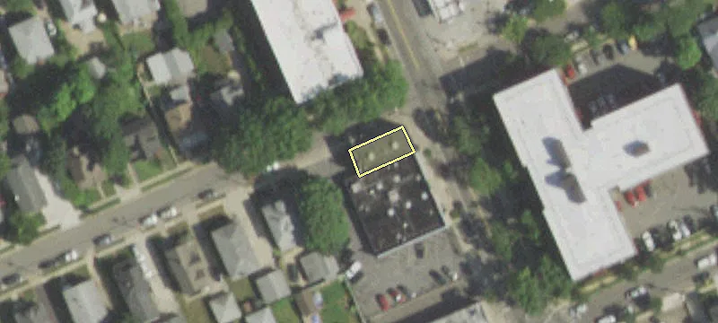 197 Mineola Blvd