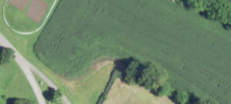 151 Van Wagenen Dr