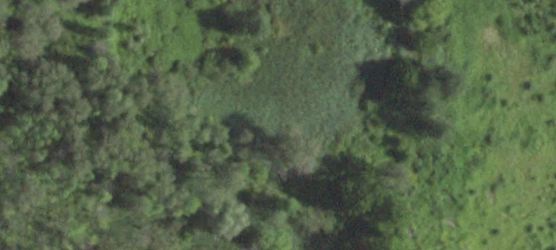 3131 Rte 22